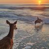 razan__107
