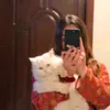 3zilnnj