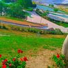 hanaalahmad47