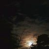 jenny_personal