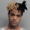 👑XXXTENTACION👑 fan account