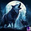 unknown.wolf4