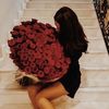 ovty_8
