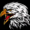 🦅 Black Hawk 🦅