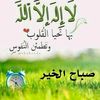 user9260156775180