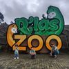 wijaya_294