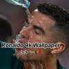 el.ms.fan.de.cr77