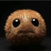 kiwiontop.com