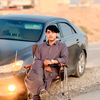 tamimahmad8666