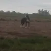 carlos.carabajal1