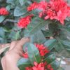 user5490781681170