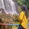 yang13042025