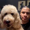 yellaboiiiiiii