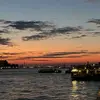 rose_snzl