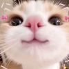 sweet_pie304