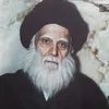 صفوه آل الصدر