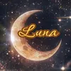 ⚜️I Tarocchi di Luna⚜️