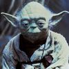 yoda6081