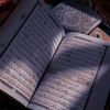 arisha.islam630