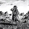 dbk_falcon