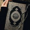 hasnaa.ahmed40