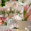 binirabbg_