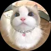 hf.tuu_