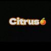 citrus224