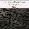fatima.noor445