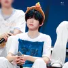 nguyenchi09110