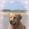 uschi.bolius