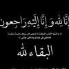 user31016393697768