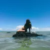 estela.sm_