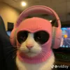 hau_dau_nhattopto
