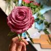 abeer220491