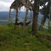 pipico_sc