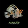 Molly420