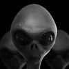mr.alien058