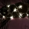 thecatbink