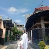 sunlight_n0