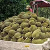 huy.quang5566