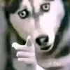 seisei_theweird0