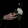 marwa75660
