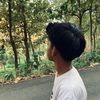pndatt