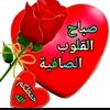 user8606026737327