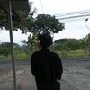 dapa_1315
