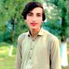 majeed.khano804