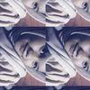 nabila.pratiwi