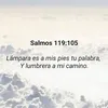 leitorrsaa