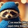 chuy.rios8
